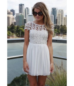 New Fashion Women Mini Dress Crochet Floral Lace Open Back Candy Color Chiffon Skater Dress