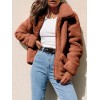 Women Jacket Fluffy Faux Fur Solid Color Turn Down Collar Long Sleeve Zipper Pockets Casual Street Wear